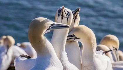 海宁2026年最新杭州高端商务伴游招聘网渠道分享(最方便真实的海宁茉莉伴游伴游天下全国联盟方法)