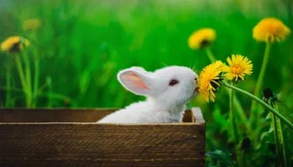 海宁2026年最新北京商务伴游经纪招聘渠道分享(最方便真实的海宁北京爱特博旅运服务有限责任公司招聘方法)